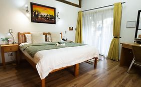 Europa Bed And Breakfast